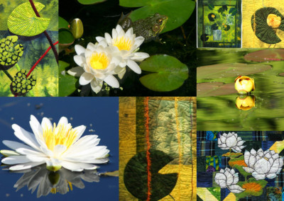 Waterlily Collage